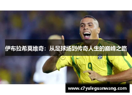 伊布拉希莫维奇：从足球场到传奇人生的巅峰之路